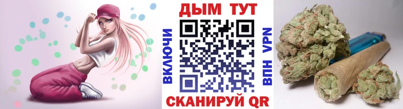 нарко площадка наркотические препараты  MEGA как войти  Злынка  Канабис марихуана 